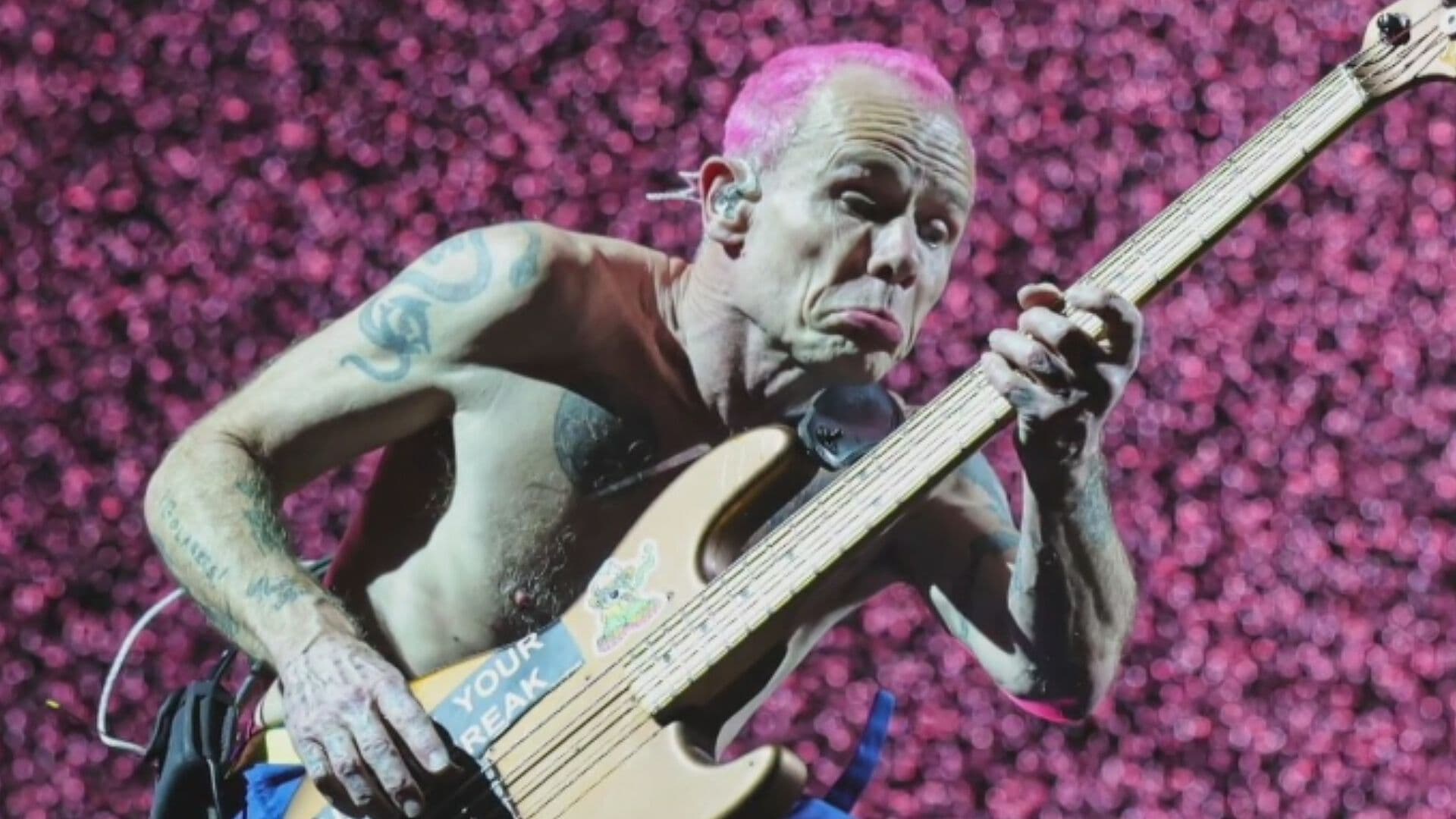 "Te Amo México": Bajista de Red Hot Chili Peppers tras Eliminatoria de la Selección Mexicana