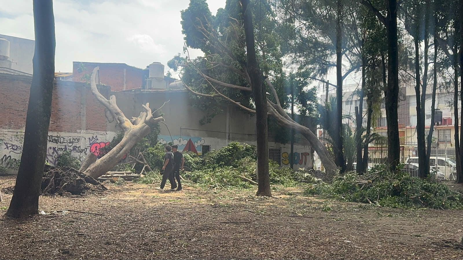 Colapso Árboles Barda Vivienda de Colonia Las Hadas Mundial 86 de Puebla