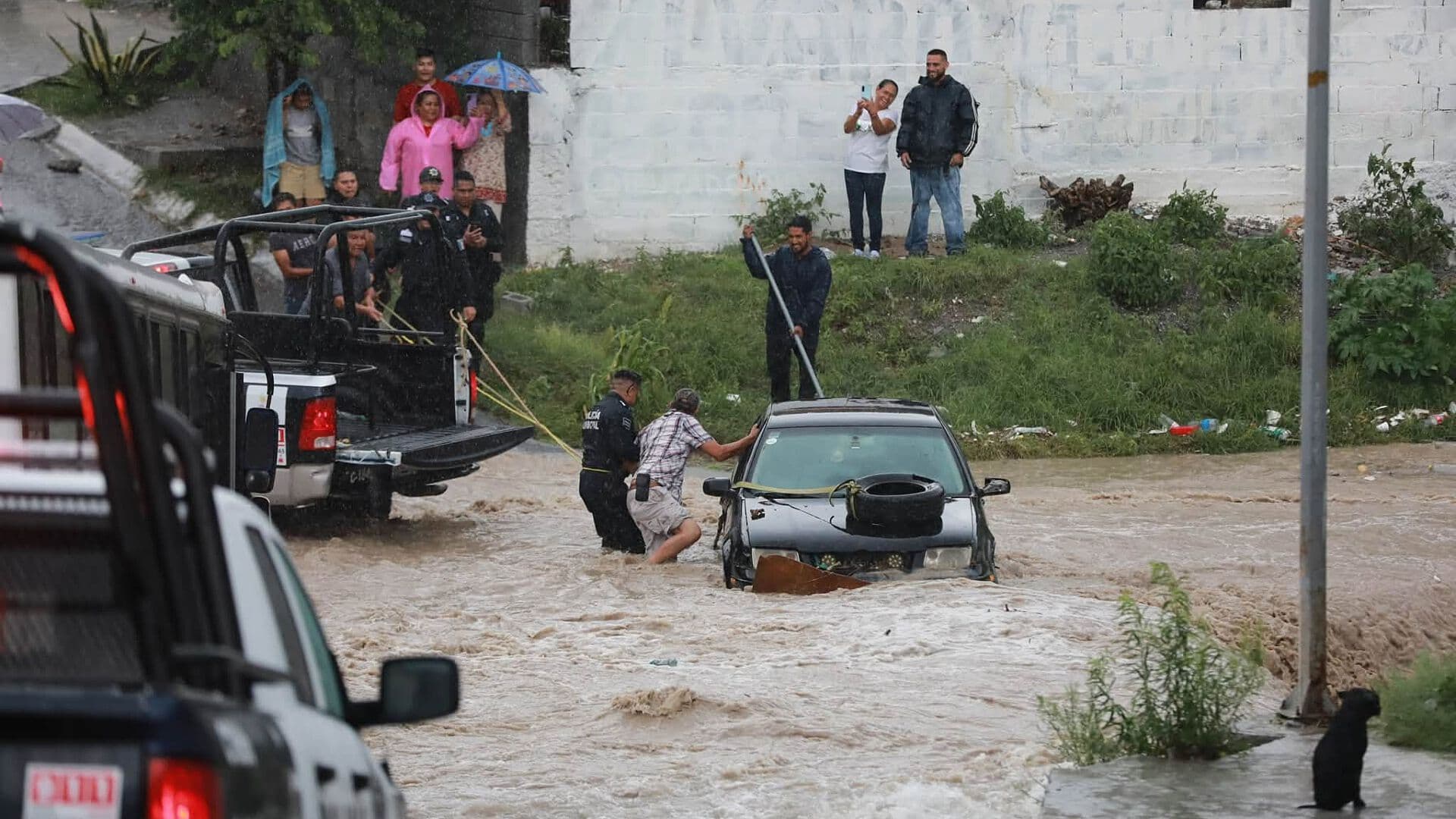 VIDEO: Policía “Se la Juega” para Salvar a un Adulto Mayor en Corriente de Agua en Saltillo, Este Lunes