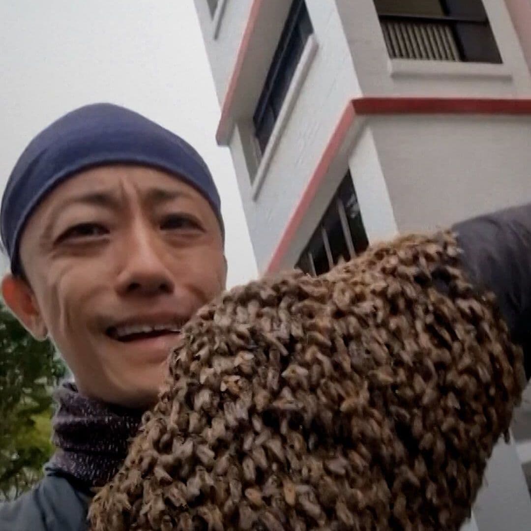 Este Hombre Rescata Abejas con las Manos Desnudas