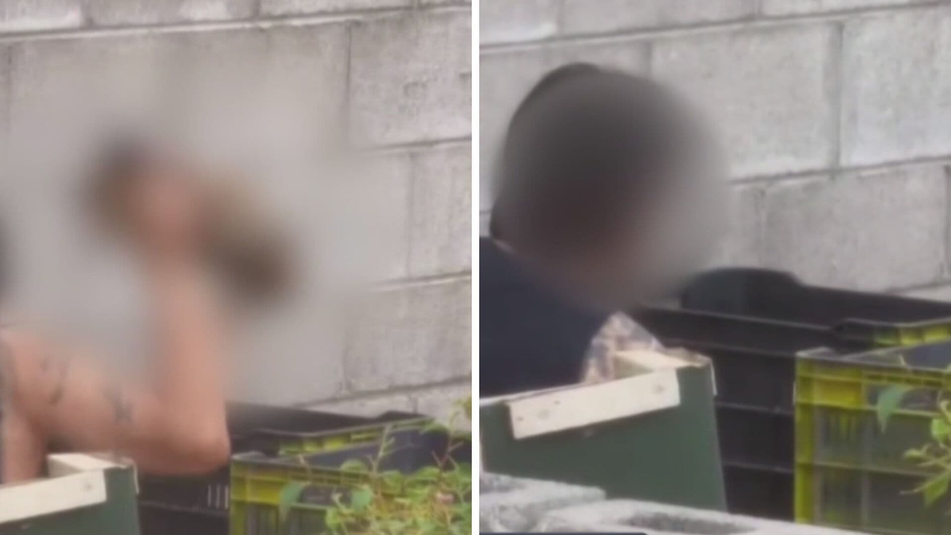Azotaba a los Cachorritos; Detienen a Sujeto por Maltrato Animal en Chihuahua