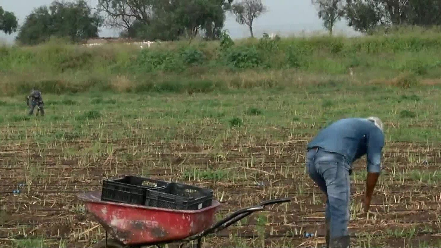 Alertan por Fraudes en la Compra y Venta de Ejidos en Aguascalientes
