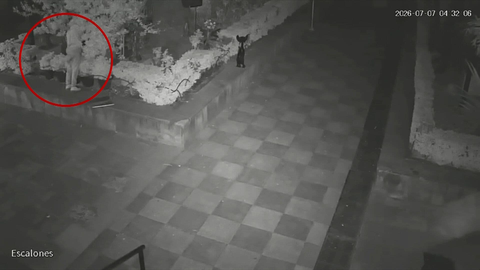 VIDEO: Cámaras Graban el Robo de Esculturas de Bronce en Iglesia de San Cosme, CDMX