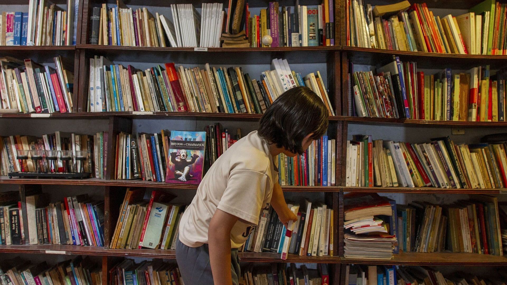 ¿Cuáles Libros Hay que Salir a Buscar en la Temporada de Vacaciones?