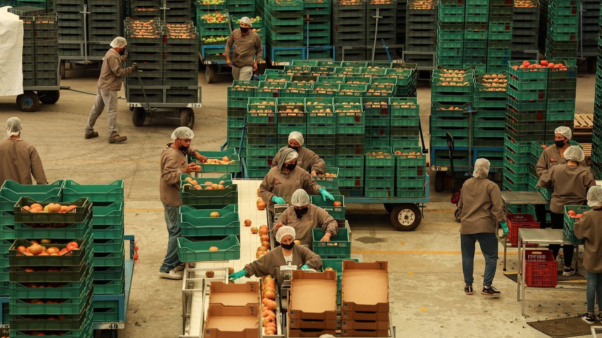 México Rompe Récord Comercial con EUA: En Mayo, Envió 54 mil mdd en Mercancías