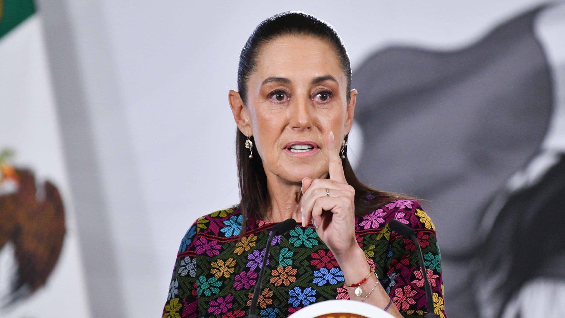 Sheinbaum Prepara Nuevas Acciones Jurídicas tras Asesinato de Mexicano en Operativo de ICE