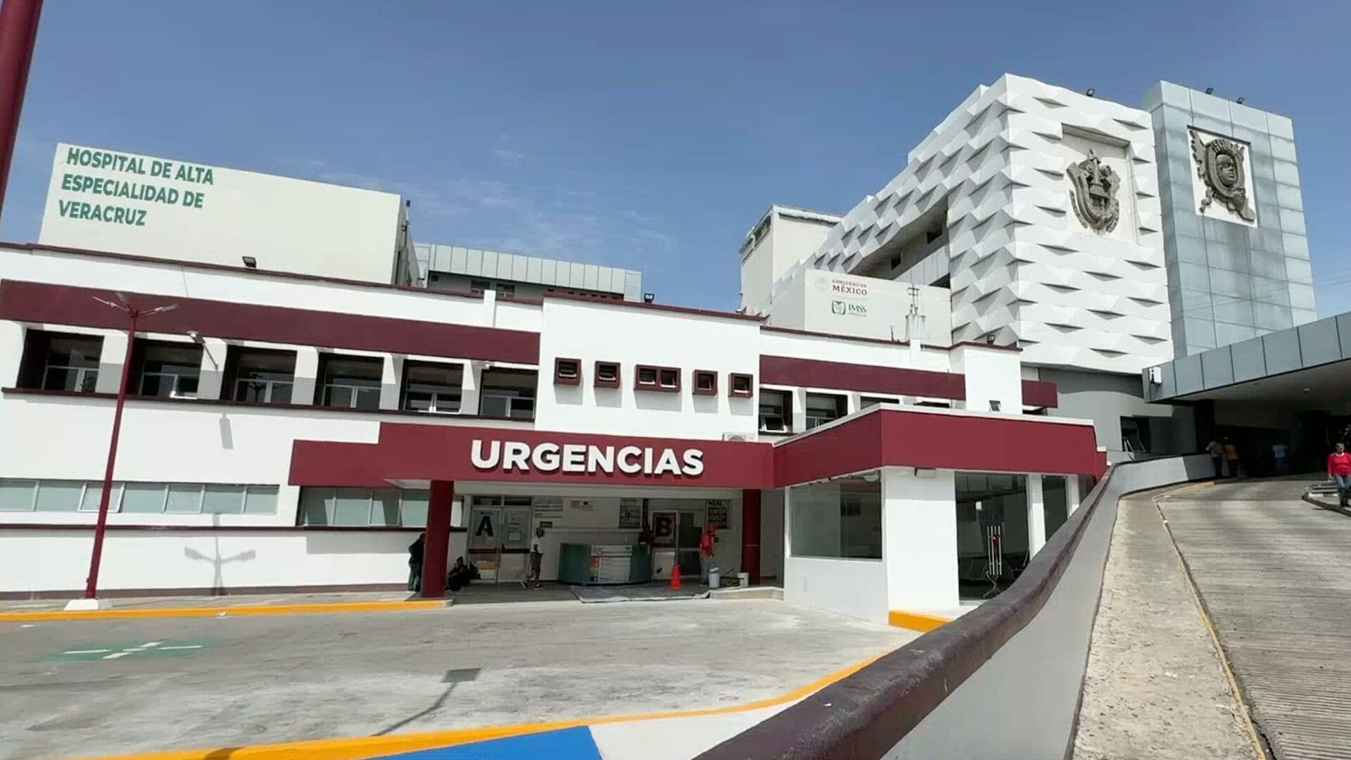 Día Mundial de las Alergias Cuáles son los Síntomas Más Comunes Médico Veracruzano Explica