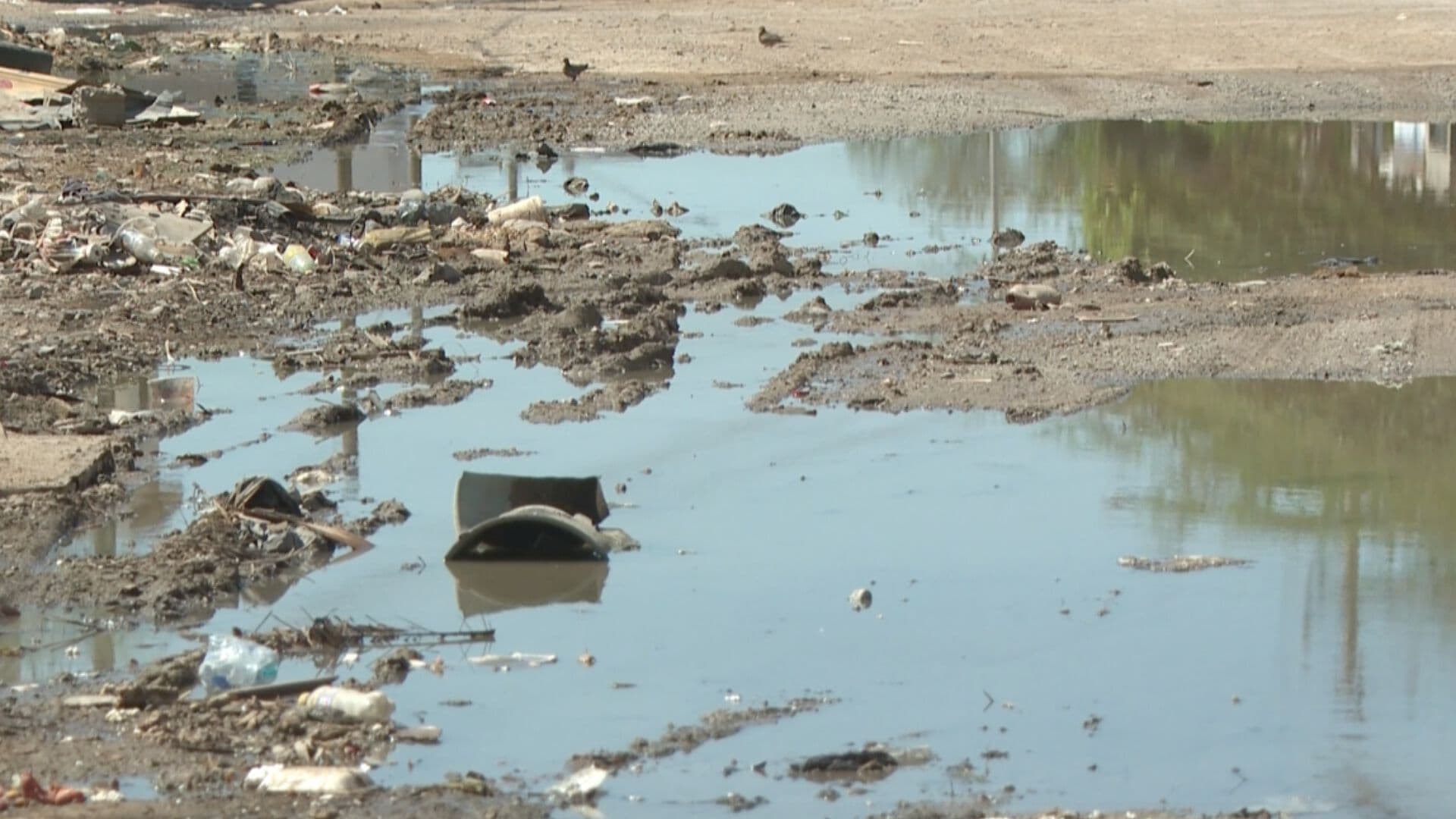 Vecinos Denuncian Fugas de Drenaje en la Colonia El Mirador de Hermosillo