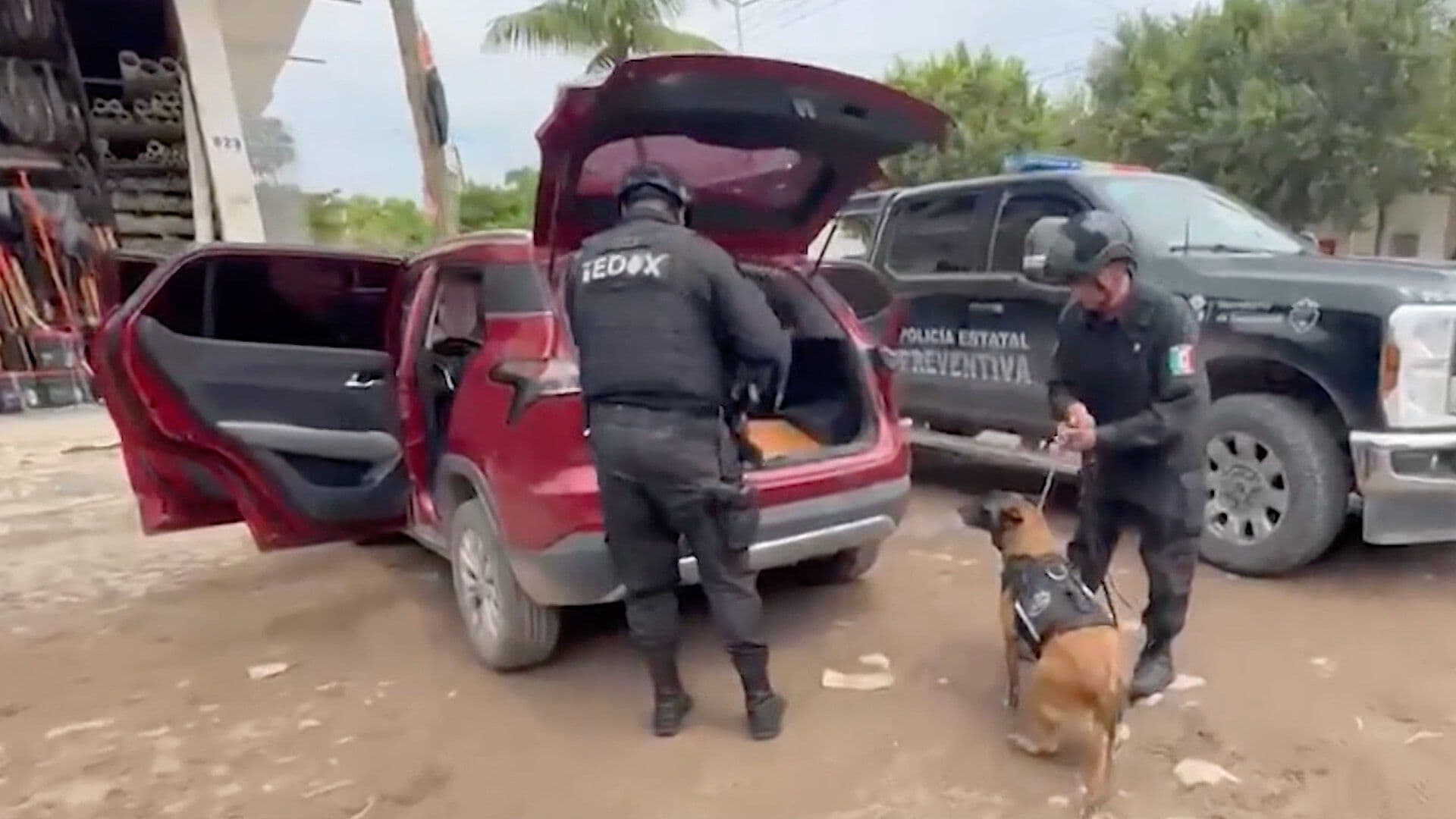 Binomios Caninos Ayudan a la Captura de 2 Hombres en Puerto Vallarta; Escondían un Arma de Fuego