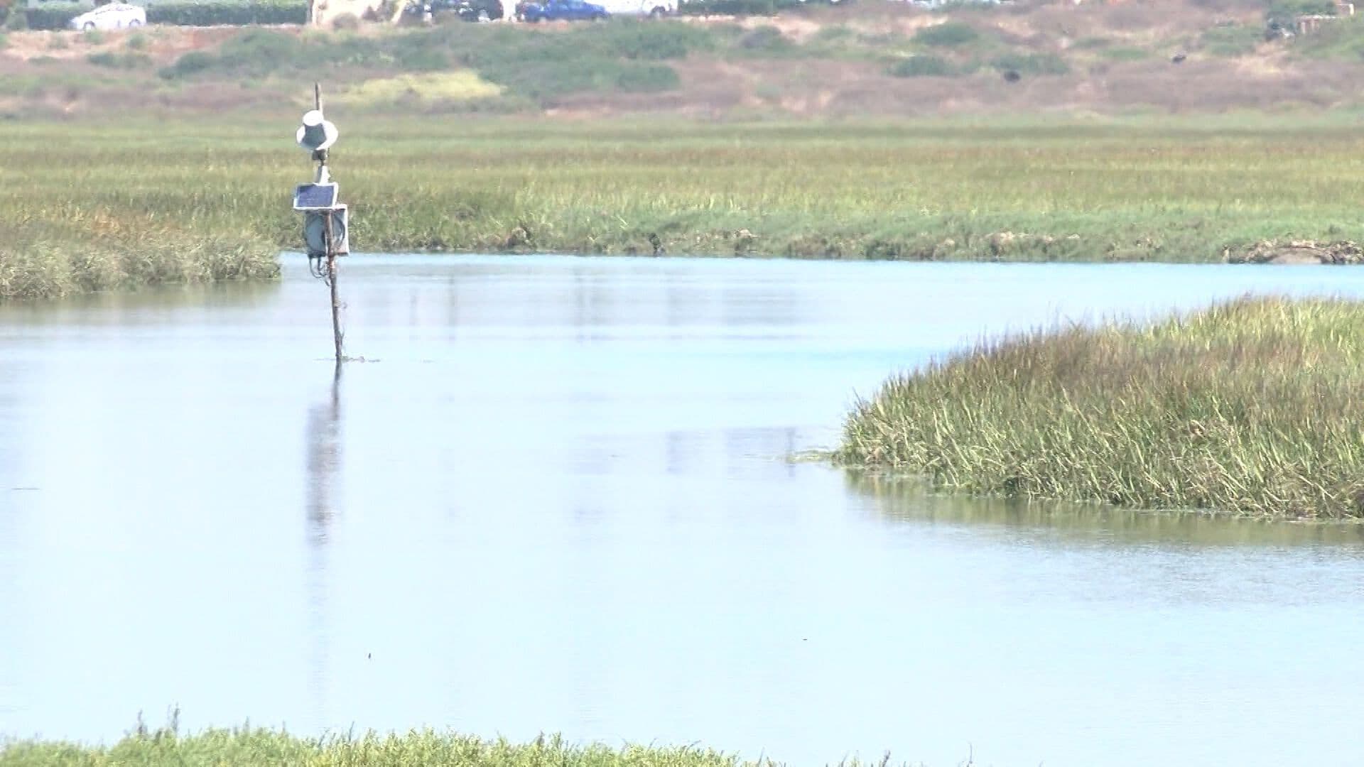 Ambientalistas Piden Incluir el Saneamiento del Río Tijuana en la Revisión del T-MEC