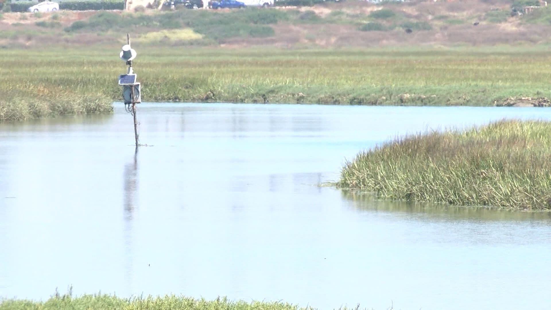 Ambientalistas Piden Incluir el Saneamiento del Río Tijuana en la Revisión del T-MEC