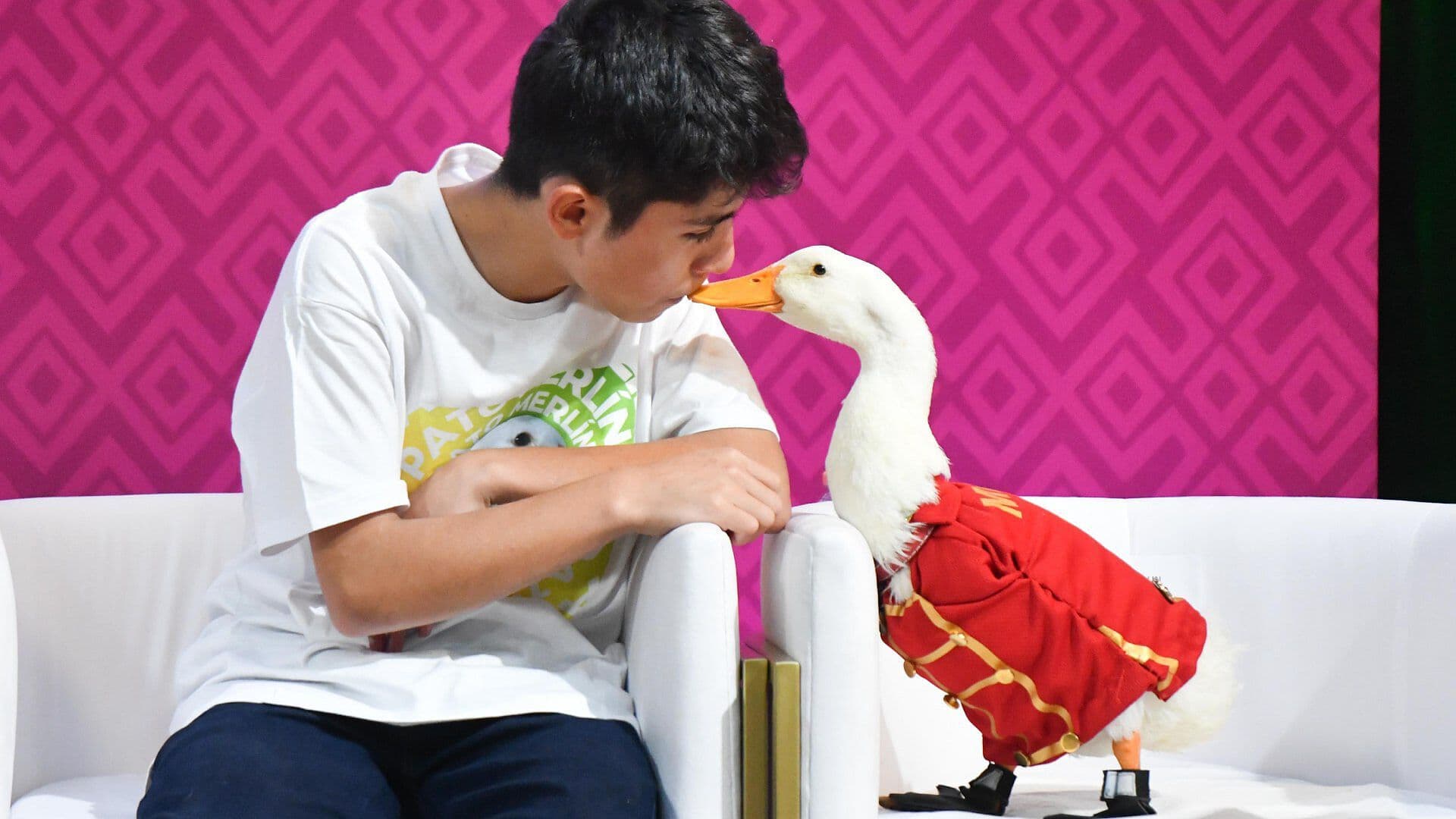 El Pato 'Merlín' Acaparó las Búsquedas de Google durante el Mundial 2026