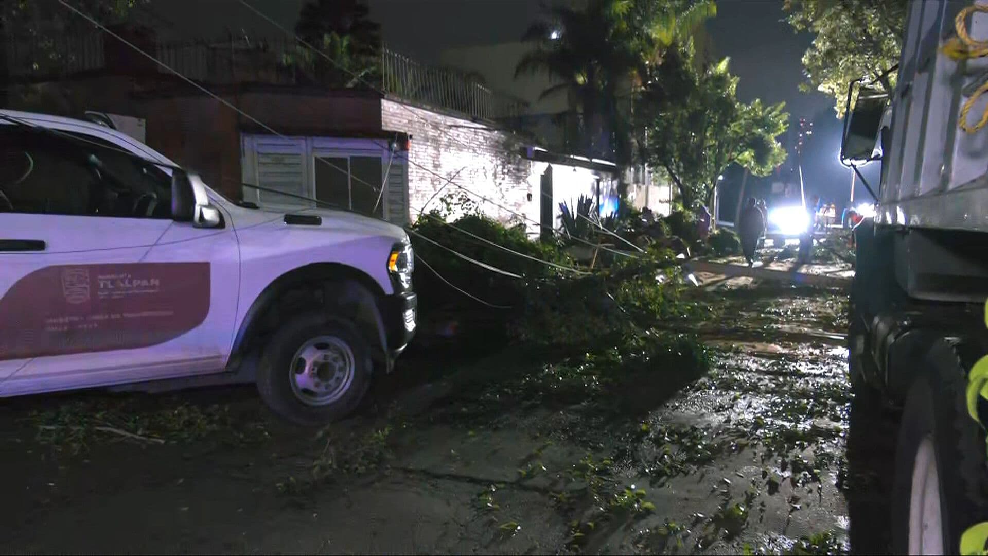 Enorme Árbol Colapsa y Deja Sin Luz a Habitantes de la Alcaldía Tlalpan, CDMX