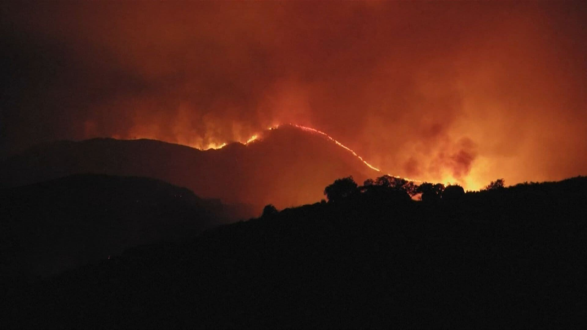 Calor Extremo en Europa No Cede; en Francia, 24 Departamentos Están Bajo Alerta Roja