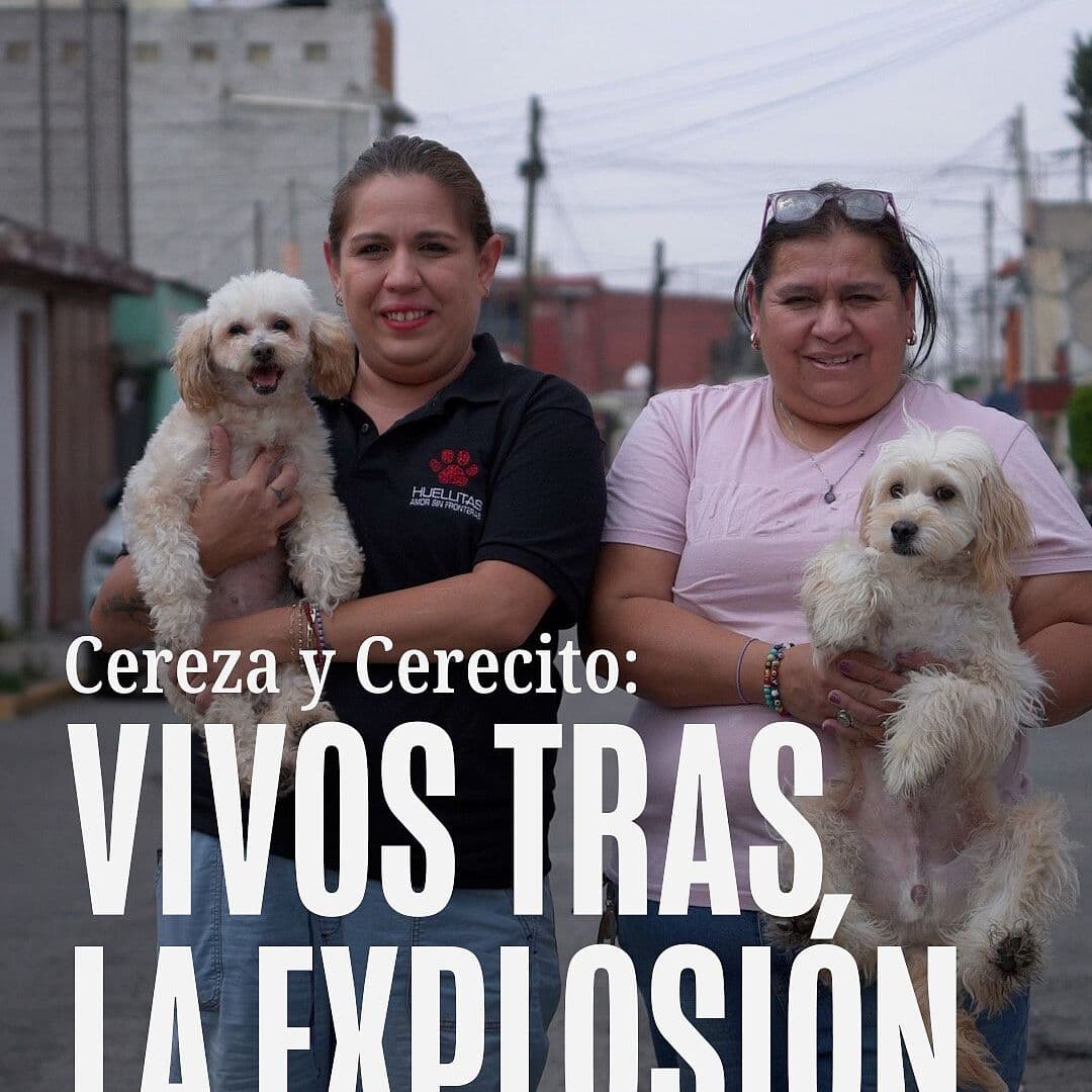 Cereza y Cerecito: Sobrevivientes a Explosión de La Concordia