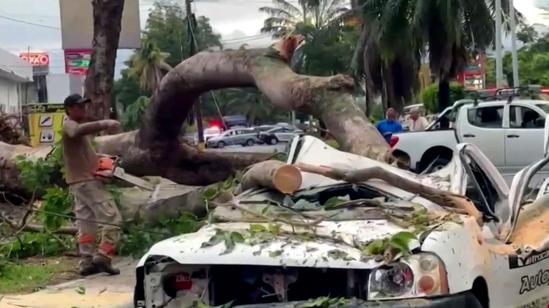 Lluvias en Tapachula Derriban Árboles, Inundan Calles y Activan Alerta en Chiapas
