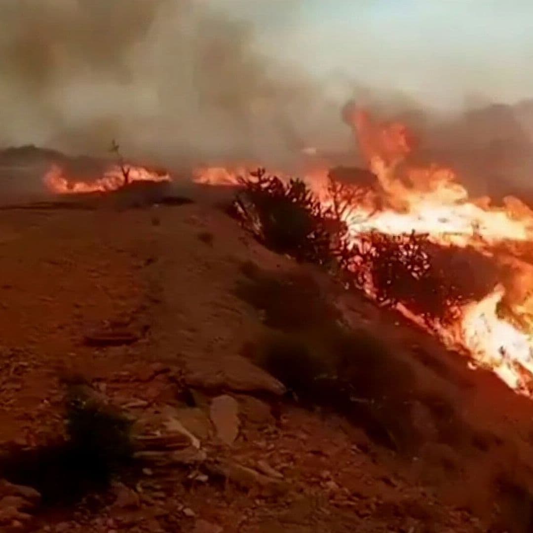 Incendio Forestal en Almería Dejó 12 Muertos y Arrasó Más de 6 Mil Hectáreas en España