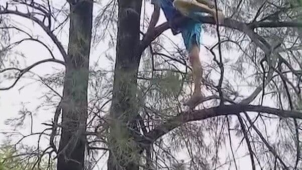 Queda Atrapado Arriba de Árbol y lo Rescatan en Juárez