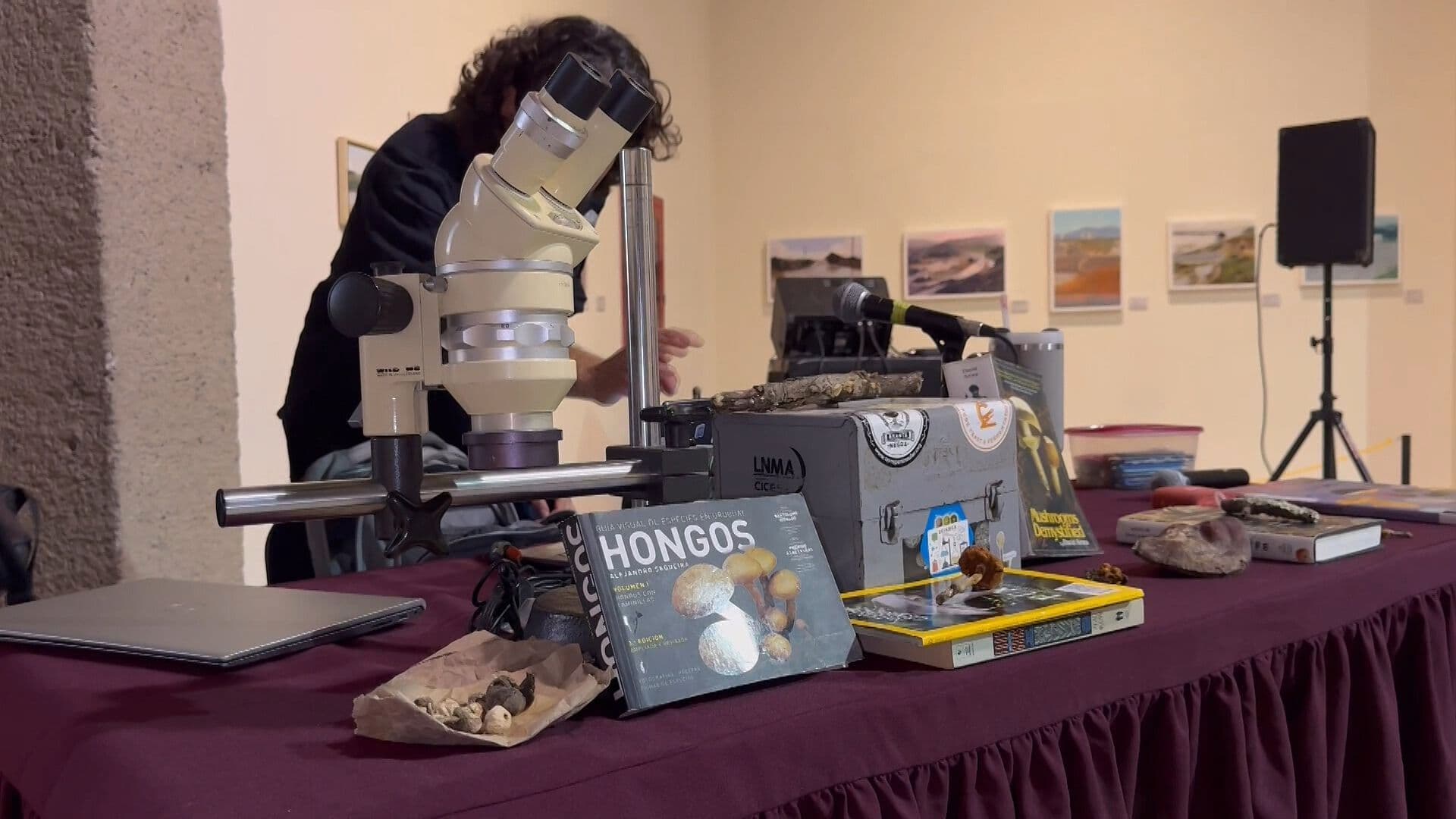 CICESE Difunde la Importancia de los Hongos a Través del Arte y la Ciencia