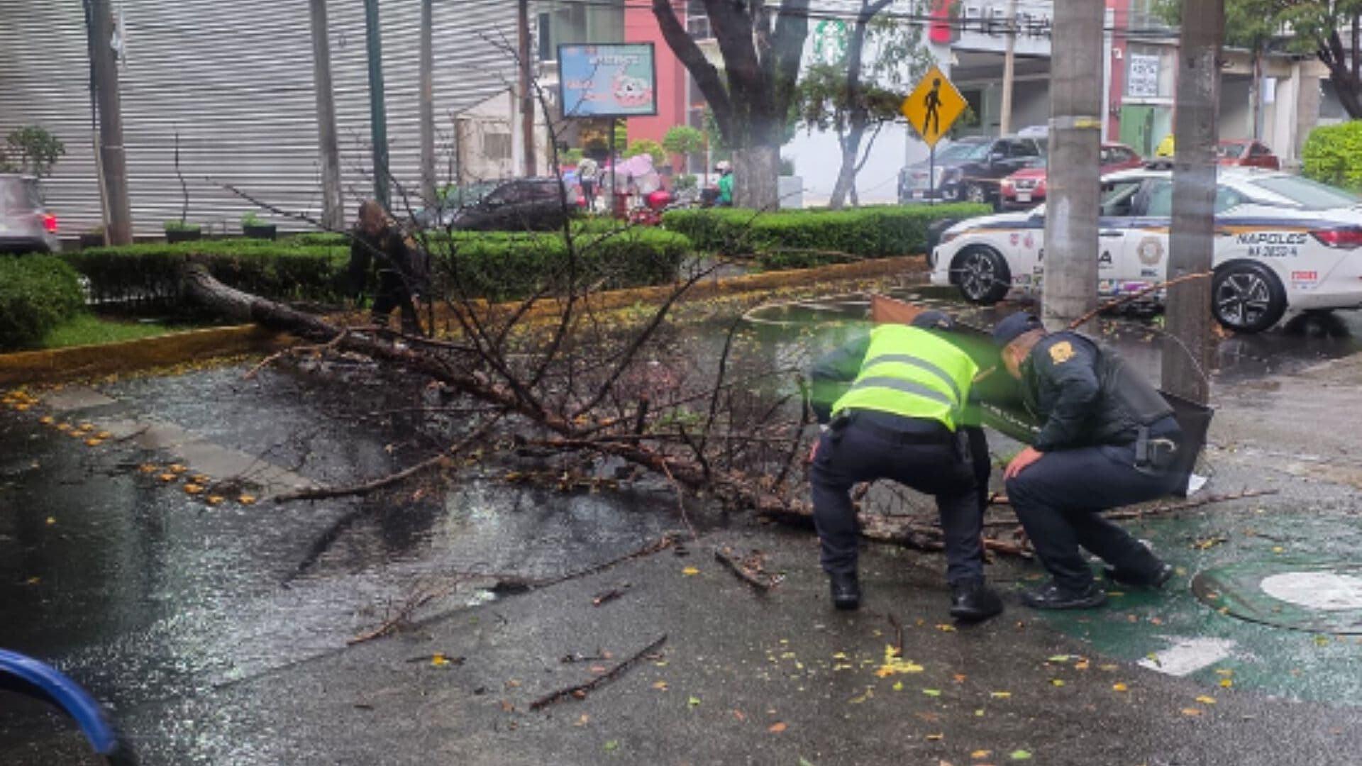 Lluvias en CDMX Hoy: Caos Vial, Inundaciones y Decenas de Árboles Caídos por Tormenta