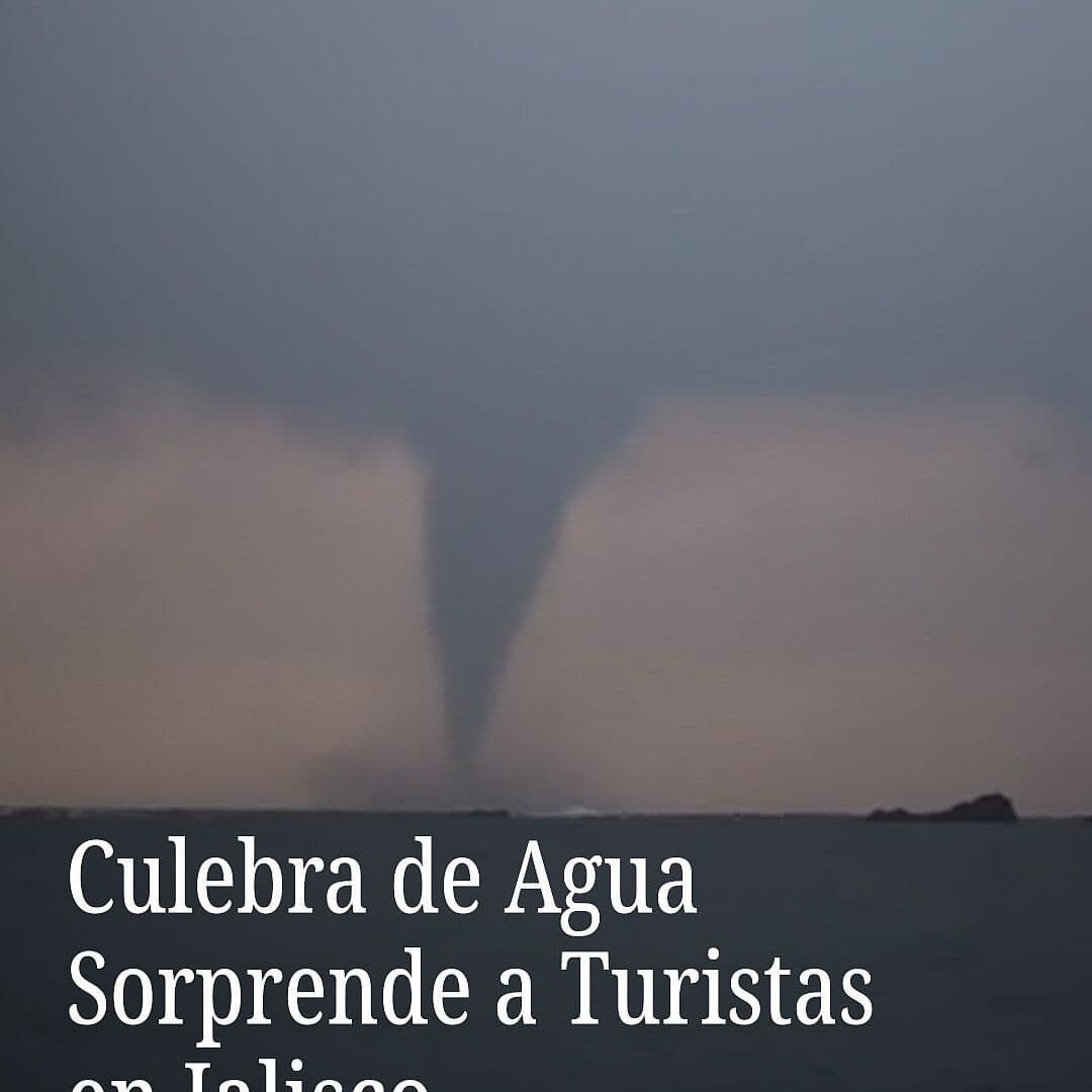 Culebra de Agua Sorprende a Turistas en Jalisco