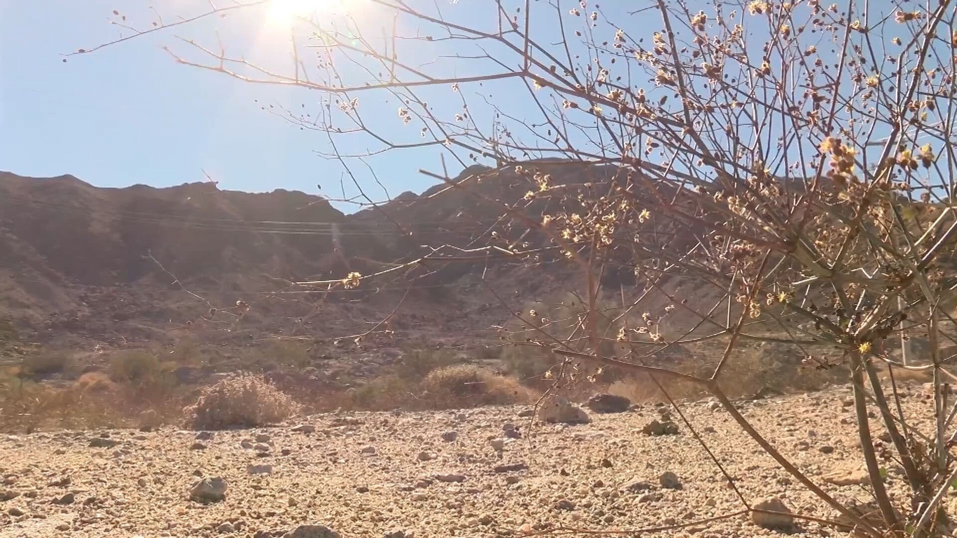 Advierten Riesgos por Recorridos en Zonas Agrestes de Mexicali por Calor Extremo