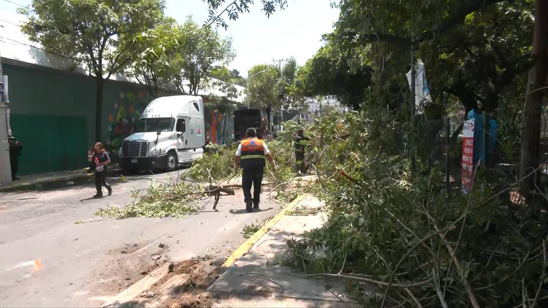 Tráiler Impacta Dos Árboles en Azcapotzalco; Realizan Labores de Retiro