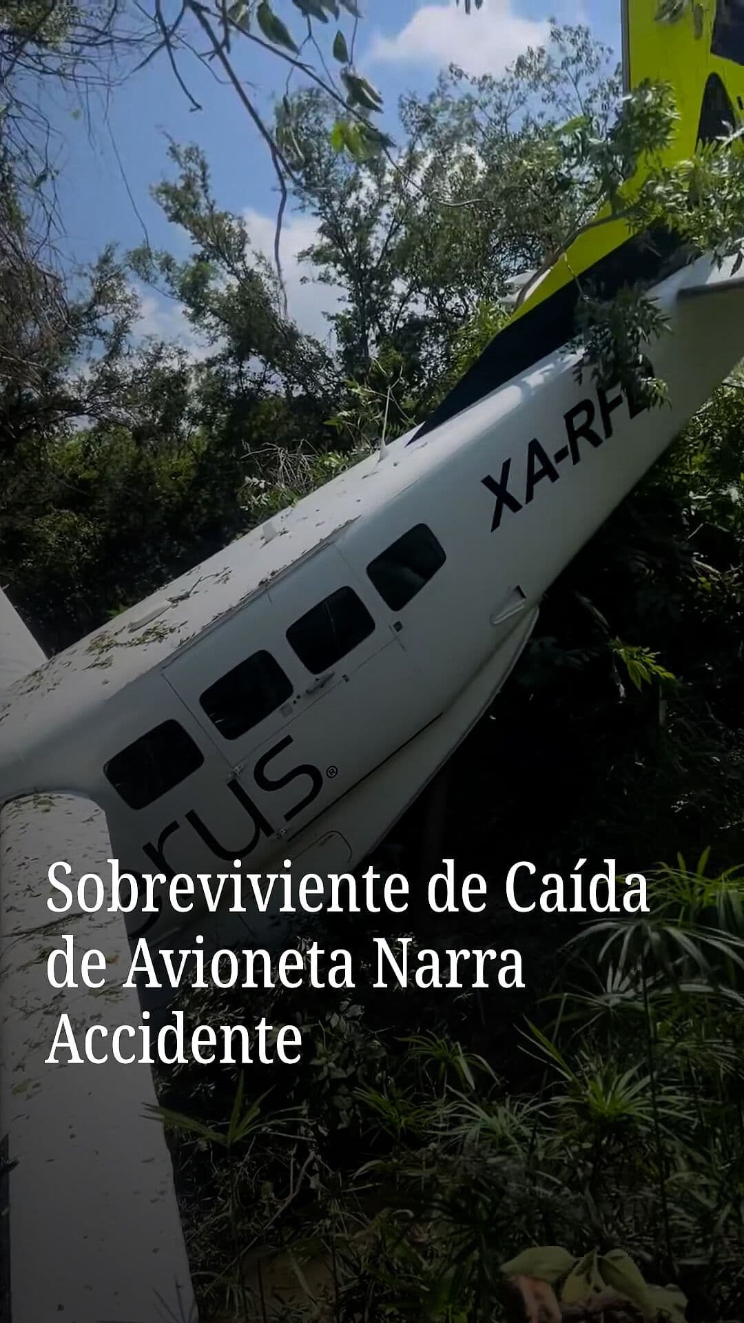Sobreviviente de Caída de Avioneta Narra Accidente