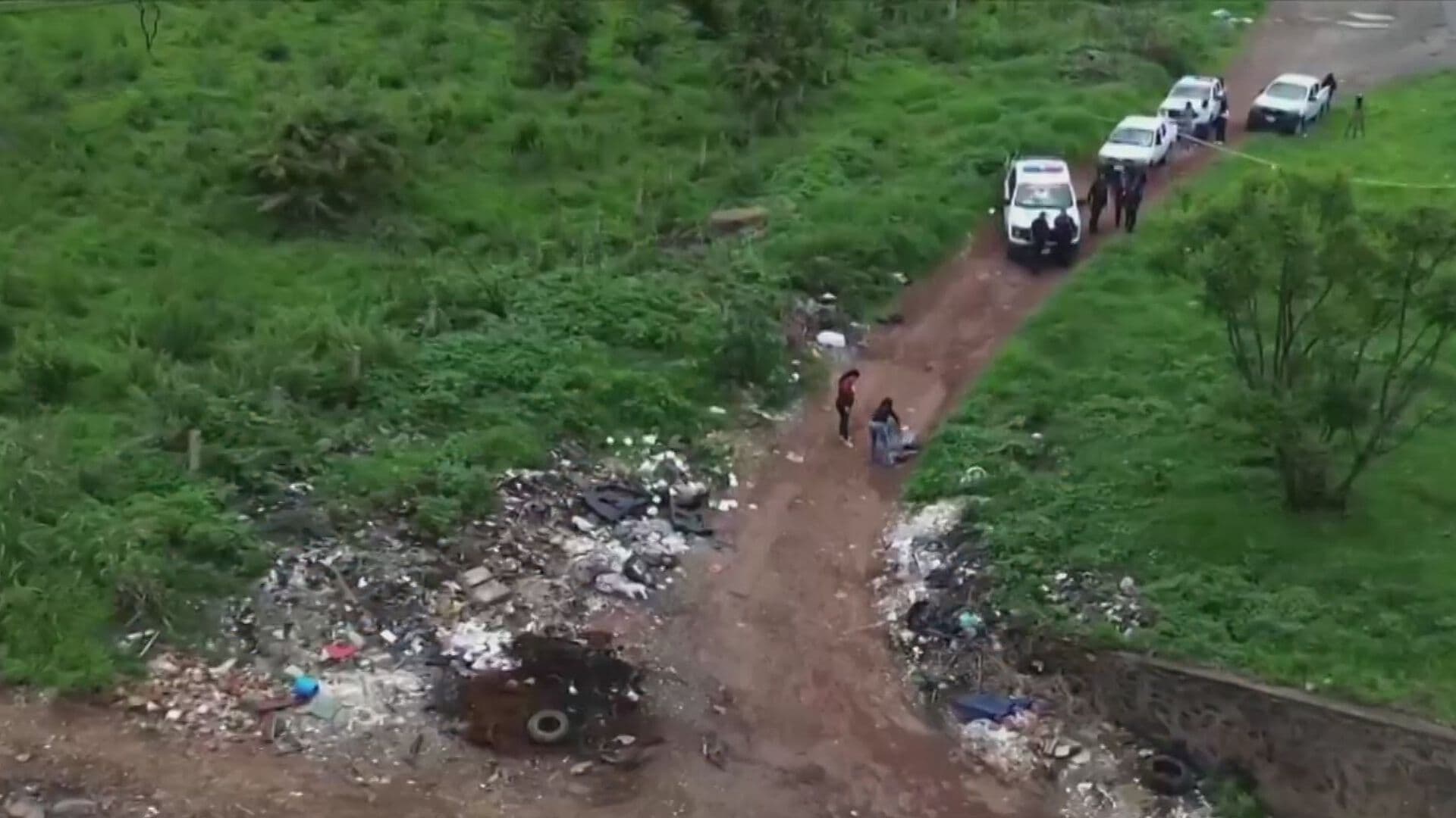 Investigan Clínica Veterinaria por Crematorio Clandestino de Perros en El Salto, Jalisco