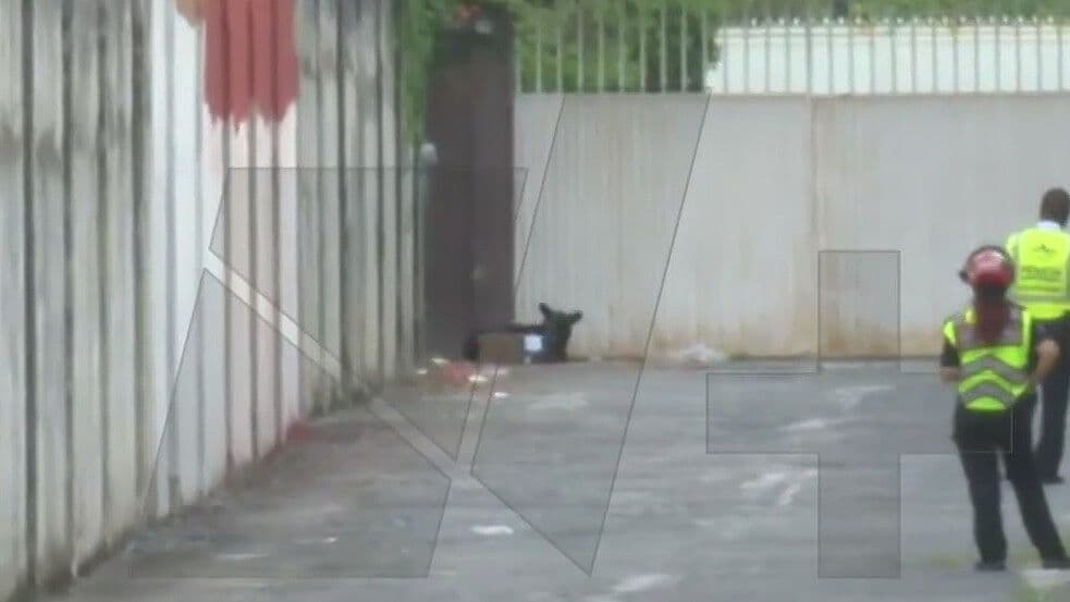 Queda Oso Herido Tras Ser Golpeado por Carro en Monterrey