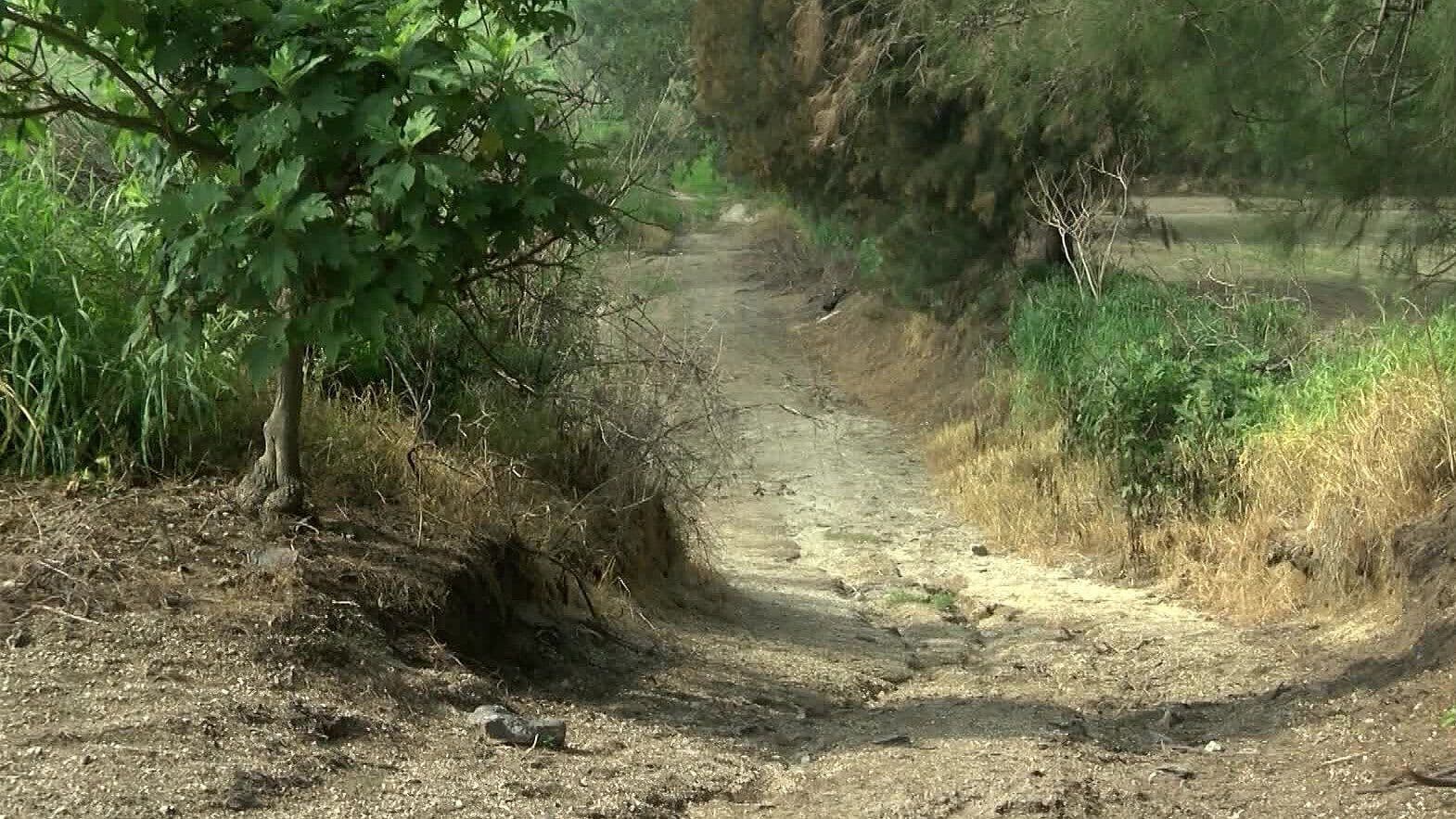 Suman 31 Fosas Clandestinas Localizadas en Jalisco en lo que va de 2026