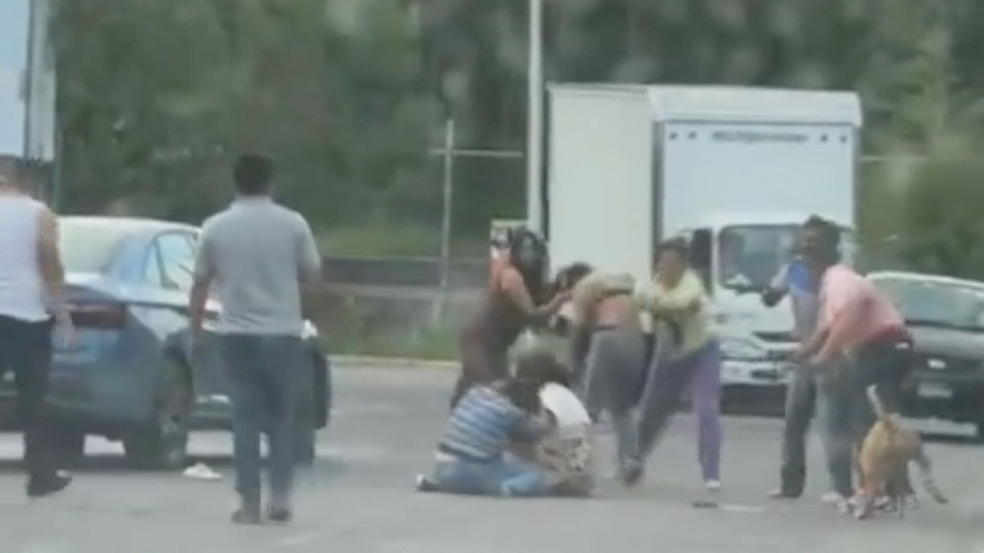 Video Riña Conflicto Golpes Familias en Colonia Bosques del Pilar Puebla