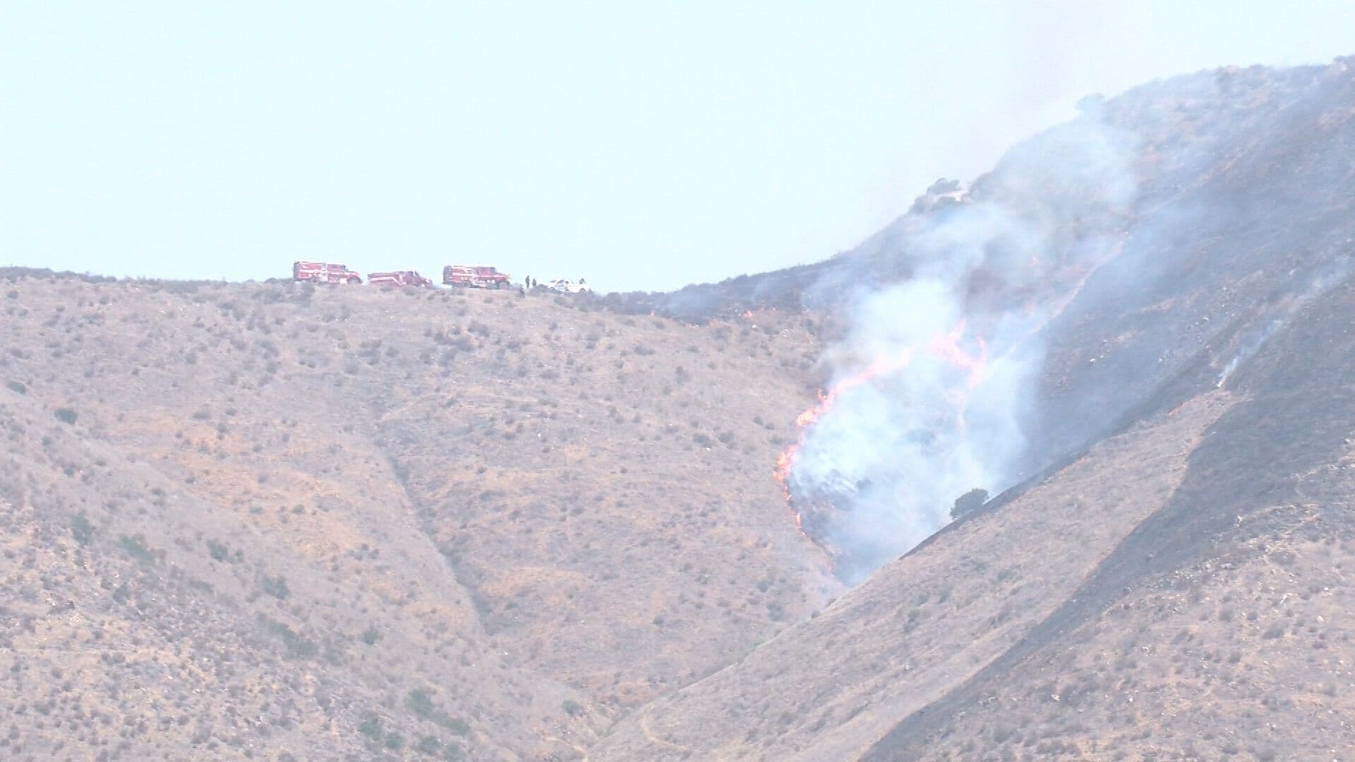 Alertan por Mayor Riesgo de Incendios Forestales con el Inicio de la Canícula 2026
