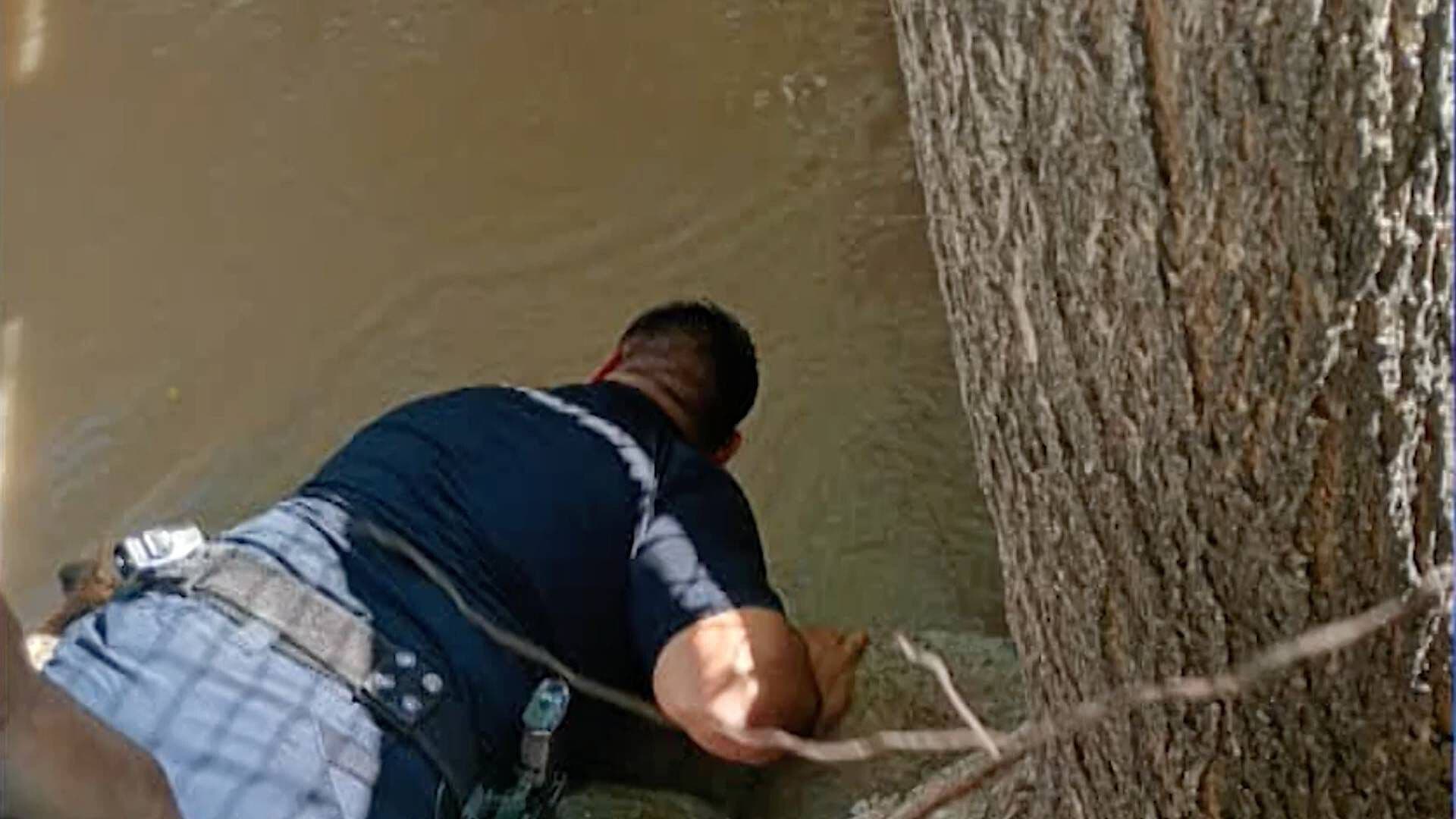 Rescatan a Mascota Atrapada en un Canal de Irrigación en Ciudad Juárez
