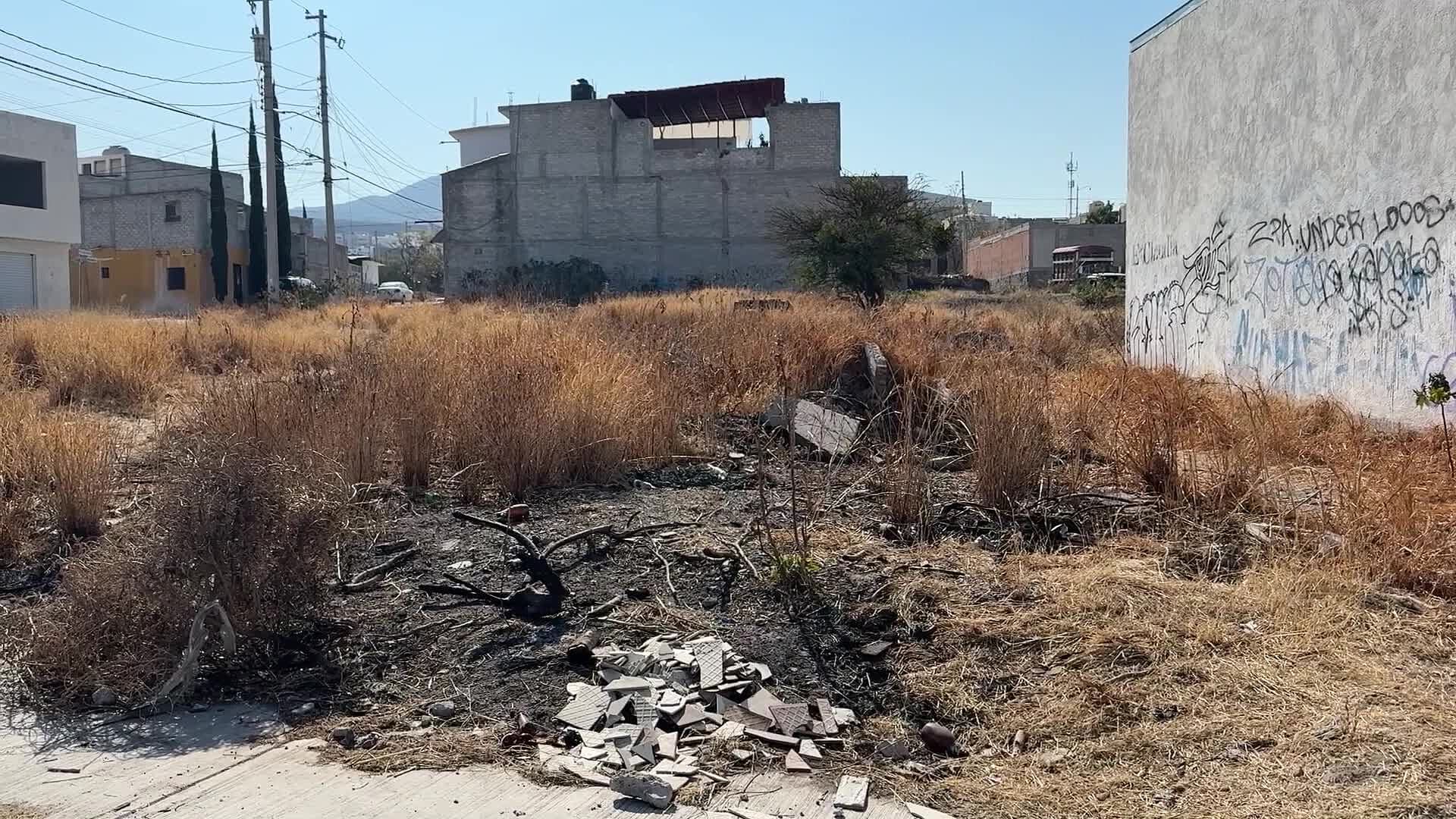 Querétaro Fortalece la Protección de Áreas Verdes con Nuevas Medidas