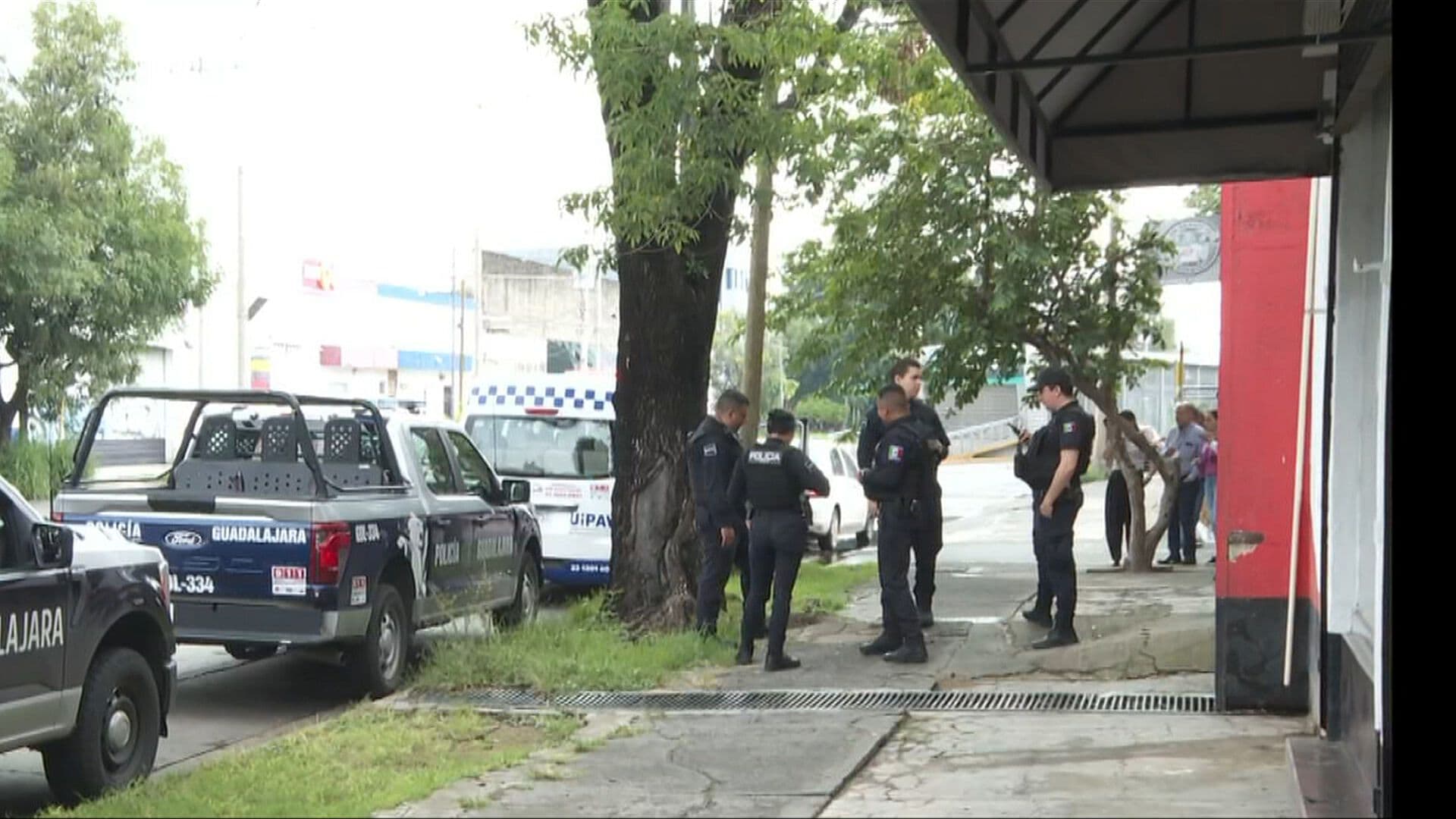 Localizan y Resguardan a Adolescente Desaparecida con Signos de Violencia en Guadalajara