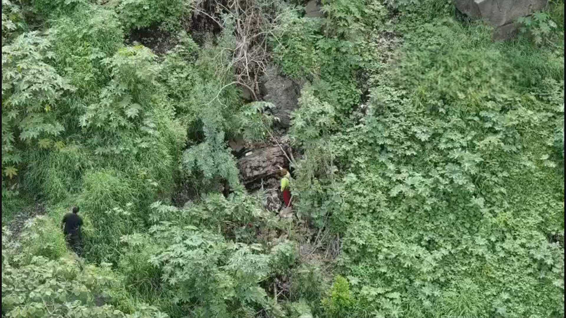 VIDEO | Rescatan a Dos Personas de un Barranco en Zapopan, Jalisco