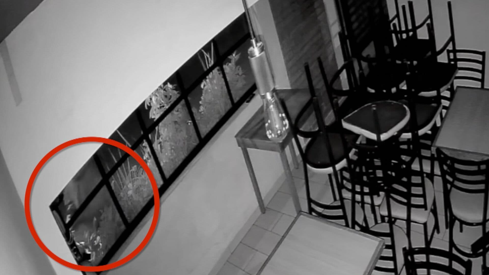Video Intento Robo Restaurante Ladrón Vidrio Roto Calle 12 Oriente San Andrés Cholula Puebla