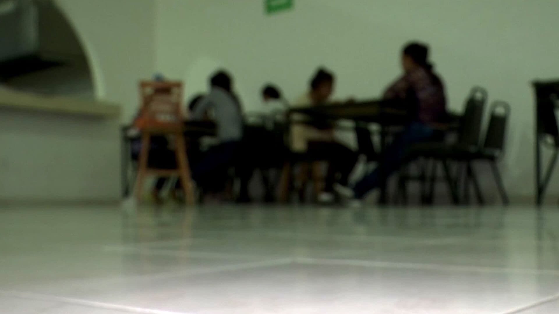 CDMX Lideró Denuncias por Violencia Familiar; Alertan Rezago en Carpetas de Investigación