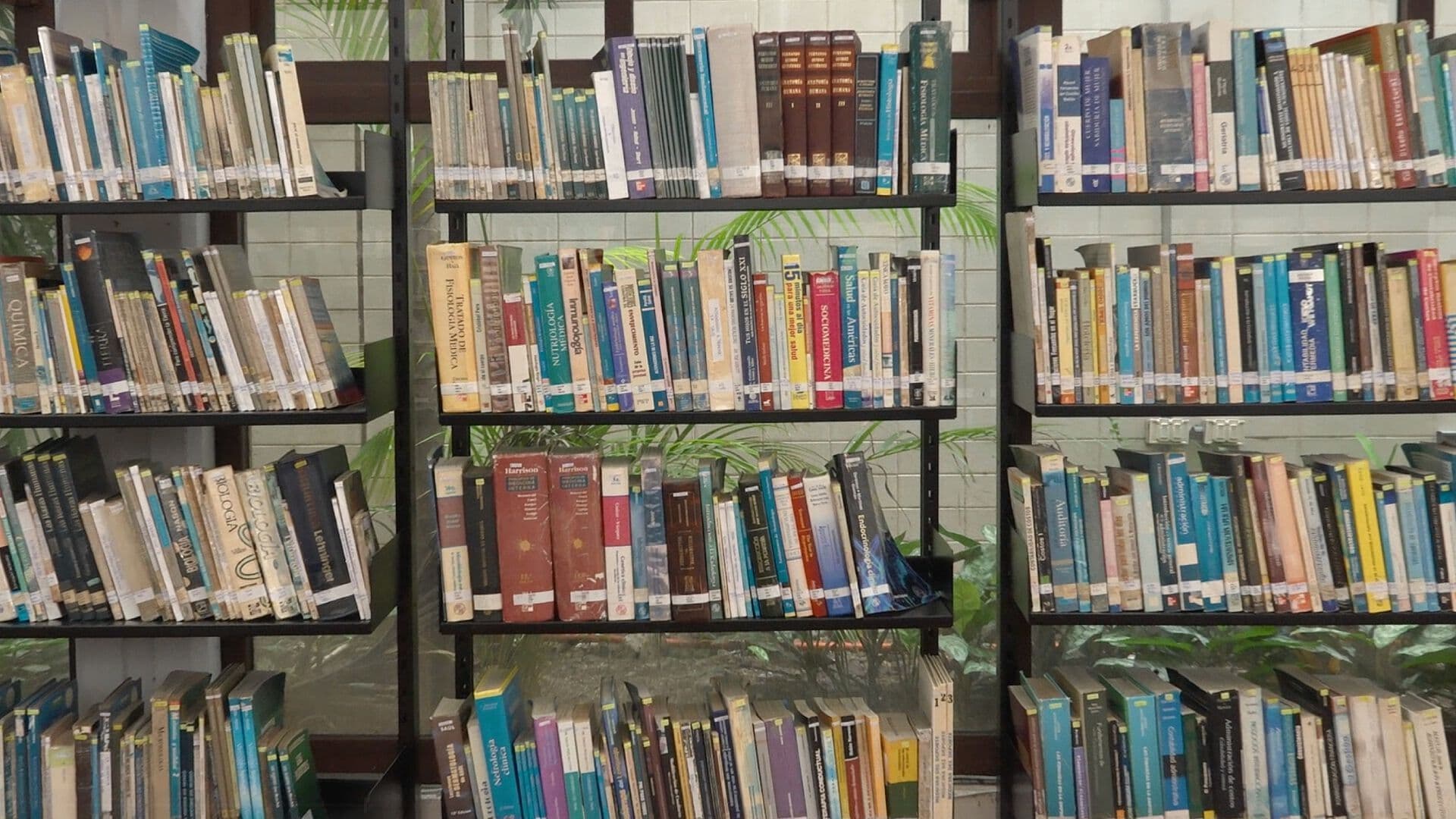 Día del Bibliotecario Estas son las Funciones que Desempeña en Bibliotecas Veracruz