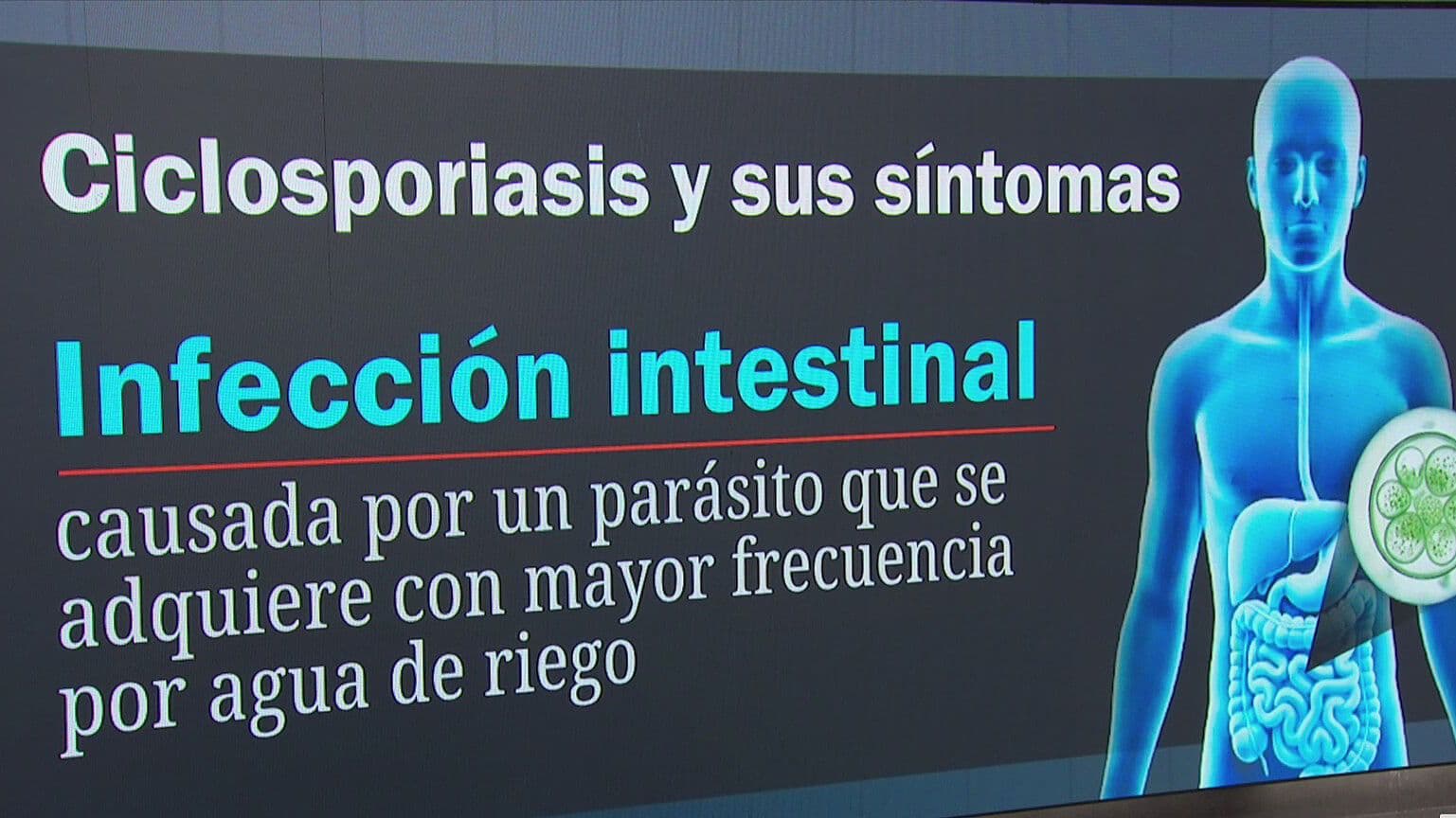 La Ciclosporiasis y Sus Síntomas: ¿Cómo se Puede Prevenir la Enfermedad de Diarrea Explosiva?
