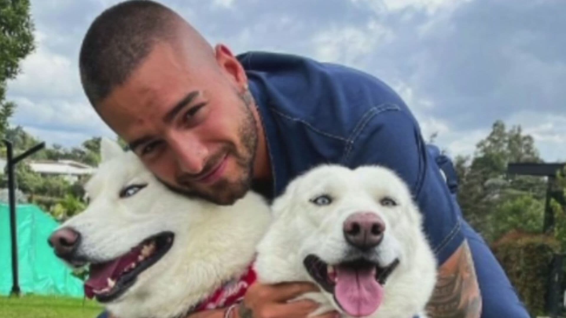 Día Internacional del Perro: Conoce la Familia Perruna de Maluma