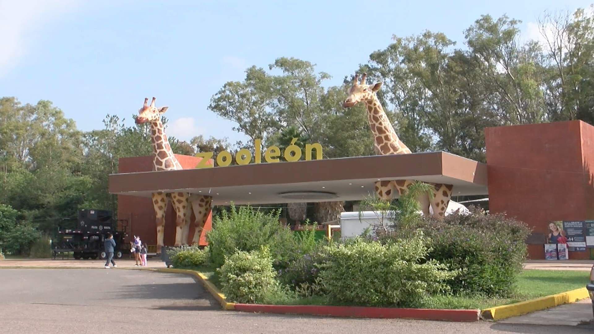 En las Últimas Semanas, Bajan Visitantes en el Zoológico de León