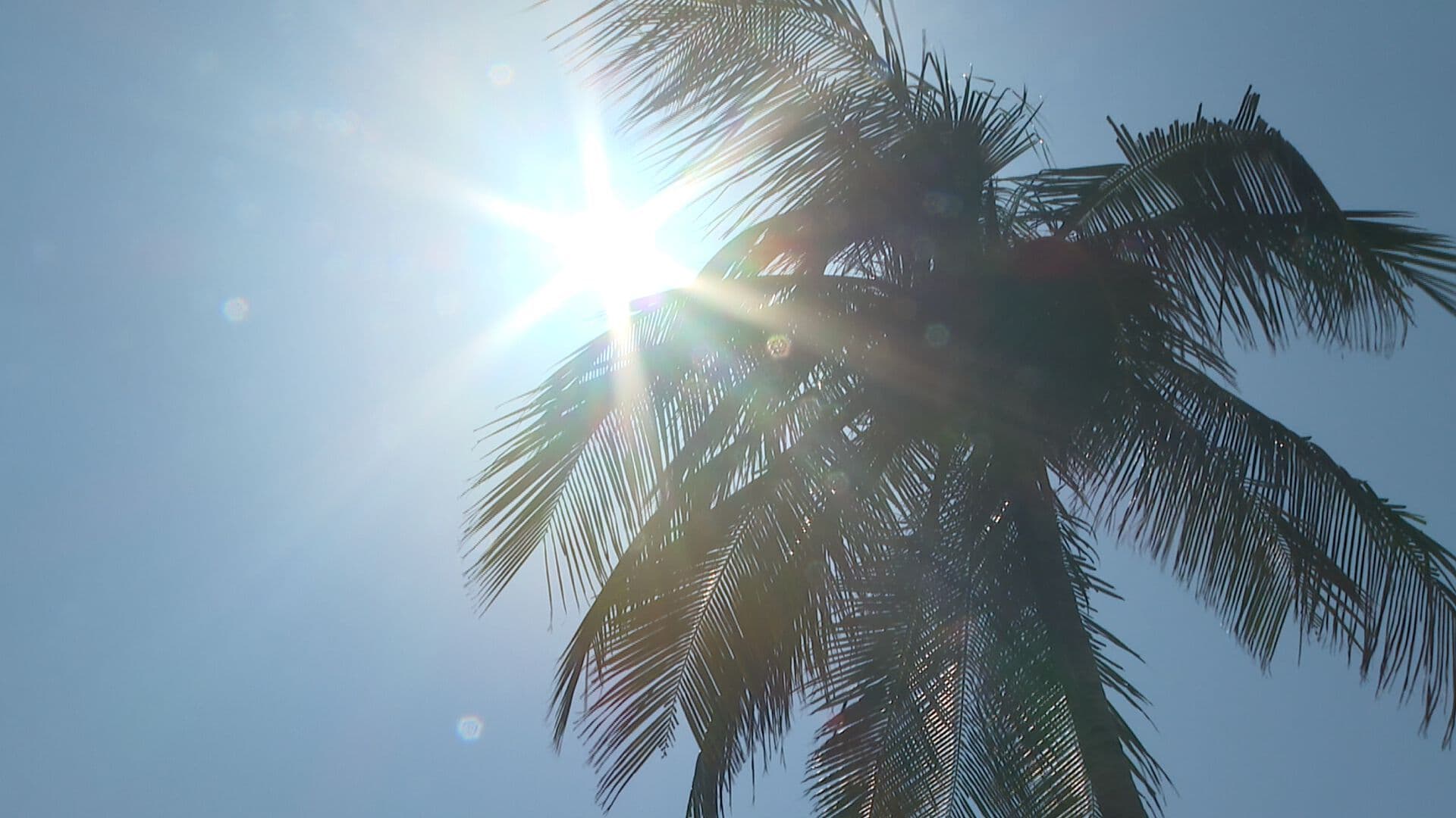 Qué Es la Canícula Cuánto Dura y Cuáles son sus Efectos Costas y Playas Temporada Vacacional Veracruz