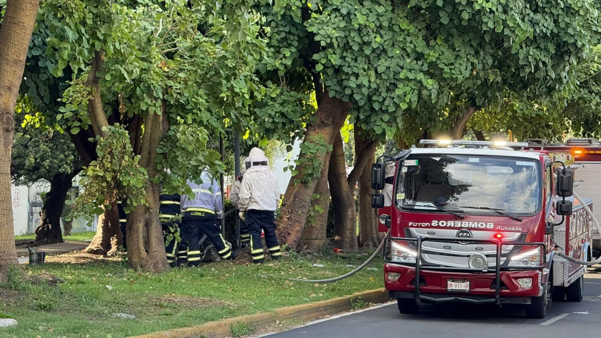 Como Película de Terror: Abejas Persiguen Personas por Quemar Panal en Culhuacán