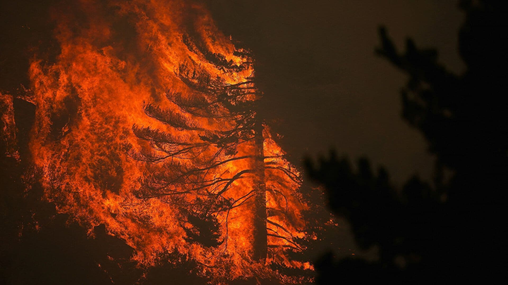 VIDEOS Muestran el Impacto Devastador de los Incendios en España