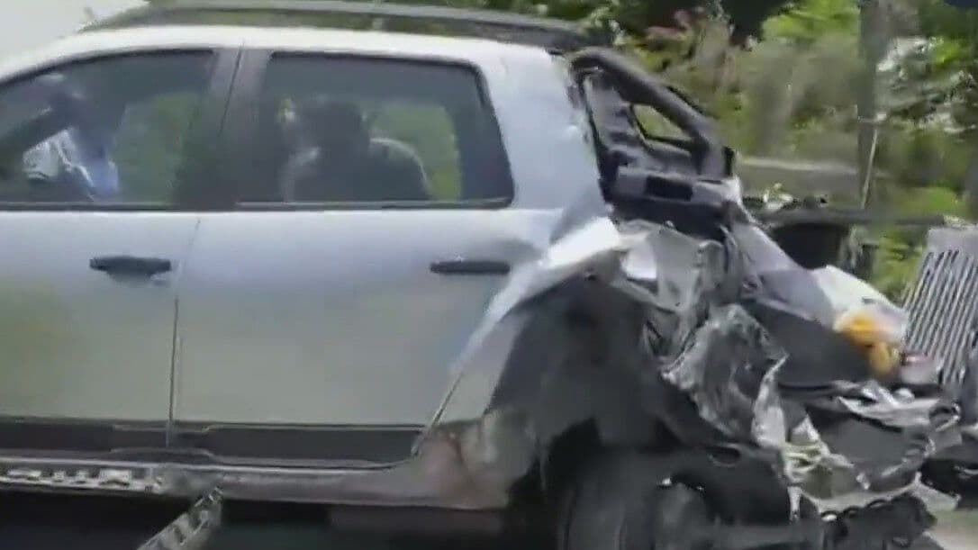 Choca Tráiler Contra Vivero en Carretera Nacional