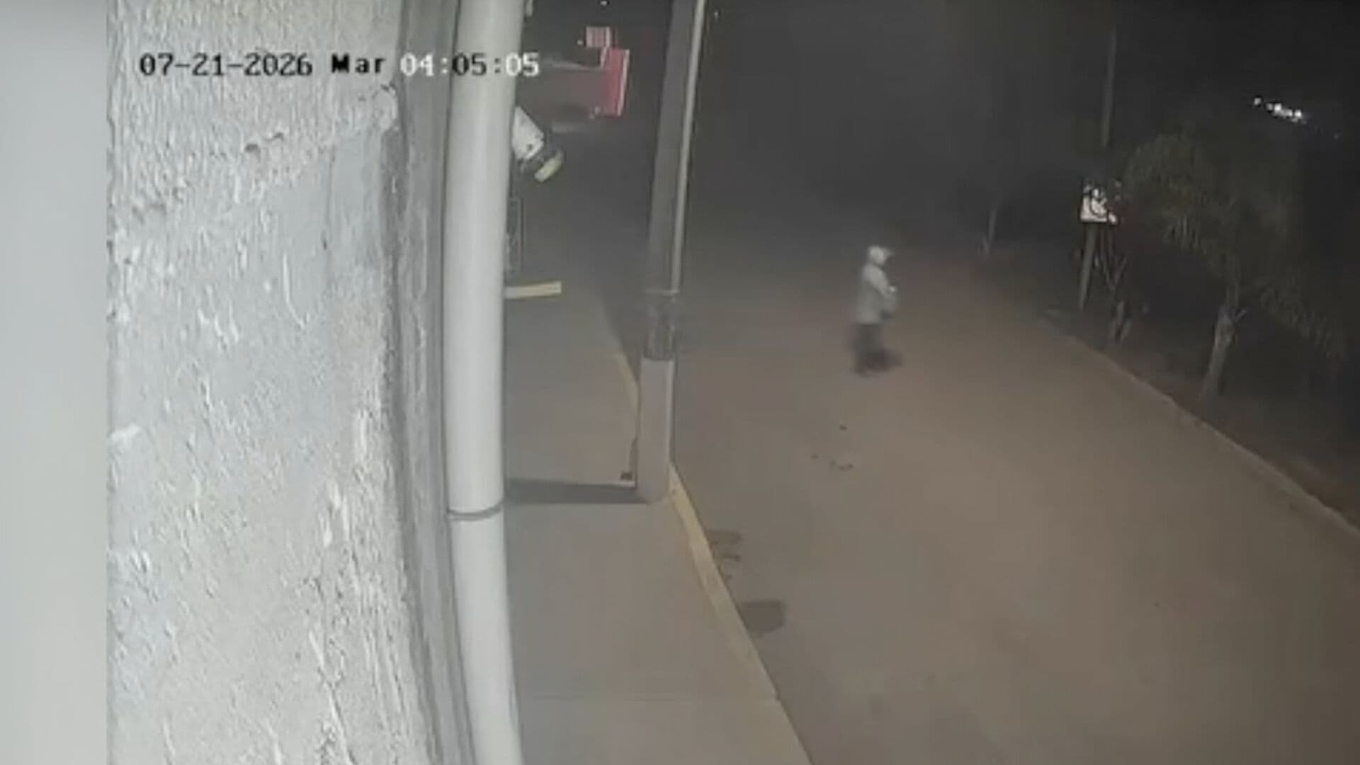 Video Robo Encapuchados Negocio Colonia Santa Clara Santiago Miahuatlán Puebla