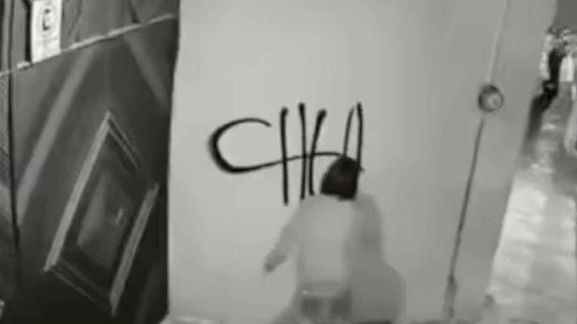 Video Vandalismo Dos Grafiteros Pintaron Paredes Vivienda San Pedro Cholula Puebla