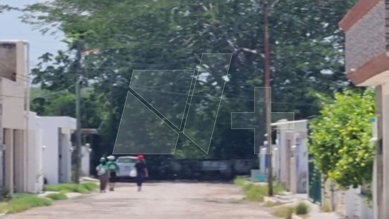 Despliegan Operativo para Localizar a un Jaguar en Calles de la Colonia Álamos en Campeche